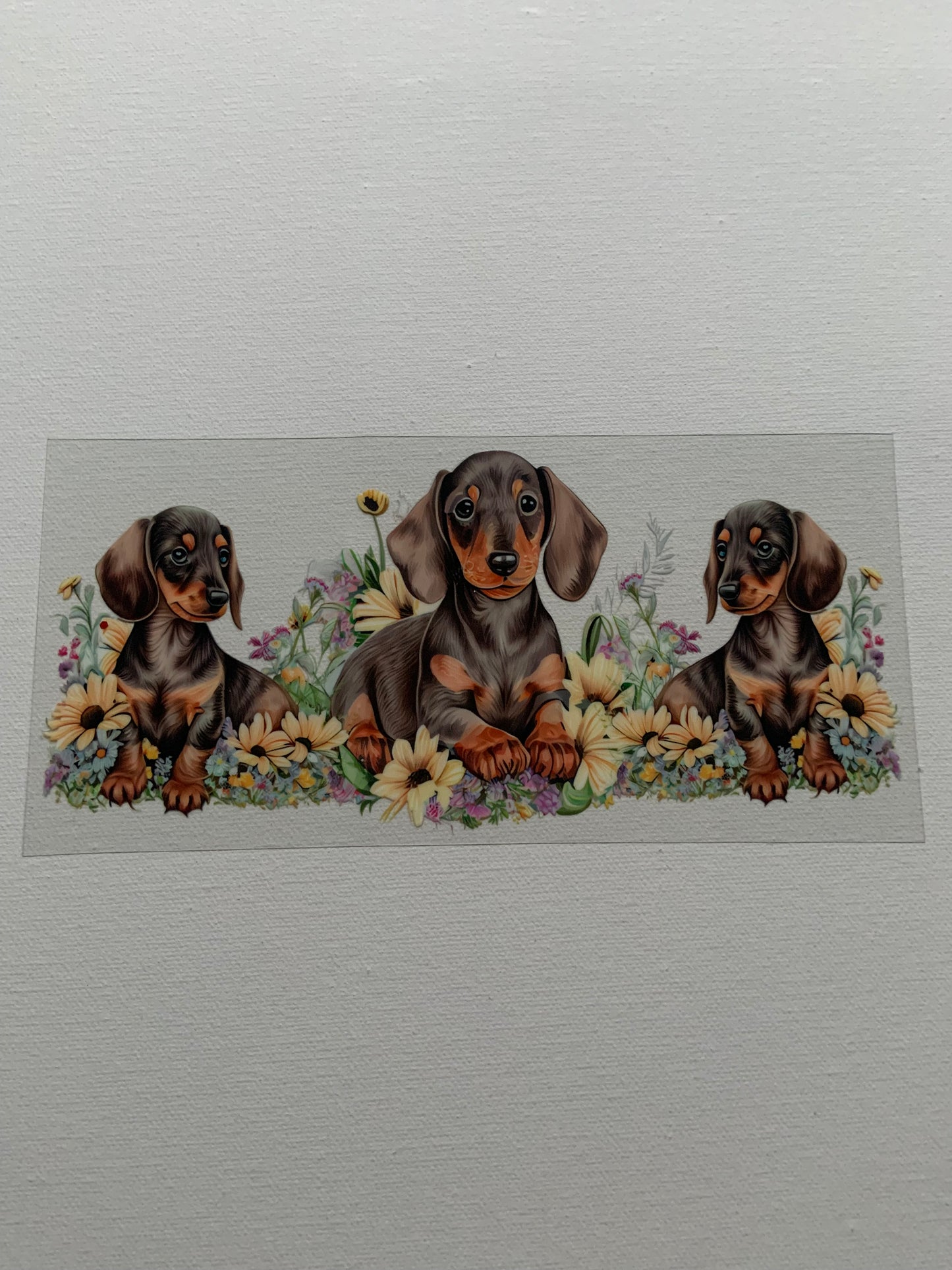 Dog Decal