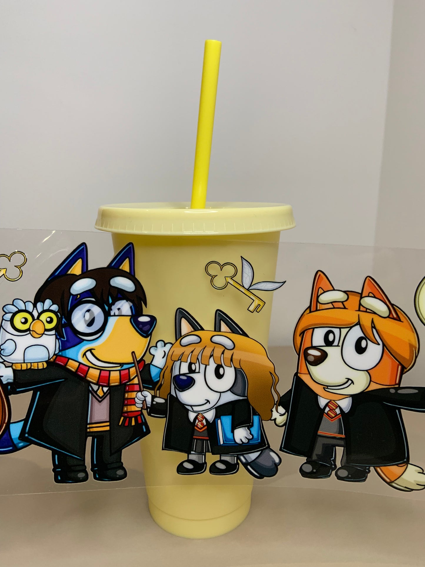 Create your own 24oz perfect cup for cold beverages on TikTok LIVE!