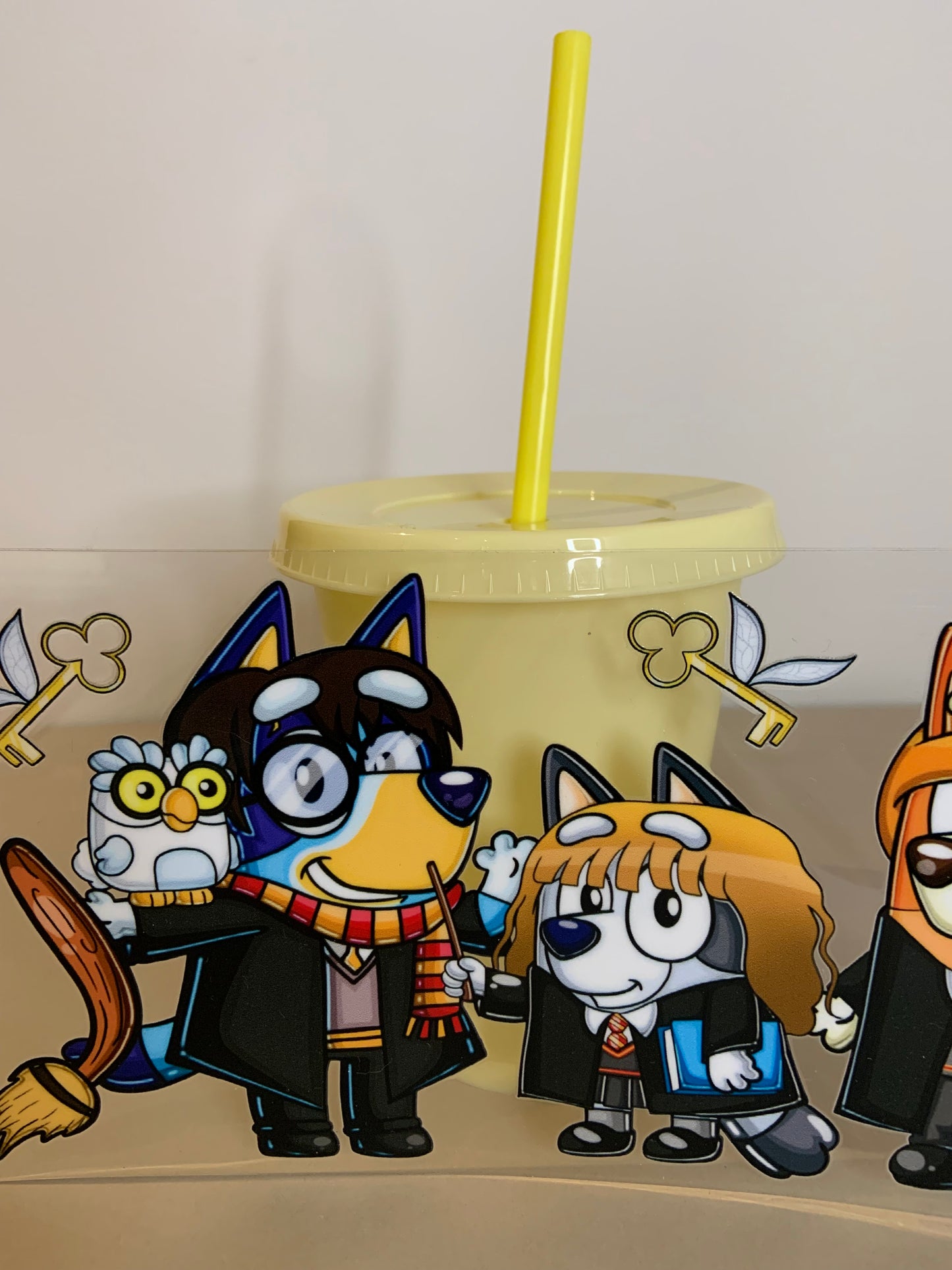 Create your own 24oz perfect cup for cold beverages on TikTok LIVE!